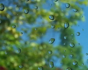 Класичне літо: 25 червня місцями невеликий дощ і переважно тепла погода