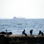 Українських моряків звільнено з піратського полону у Сенегалі